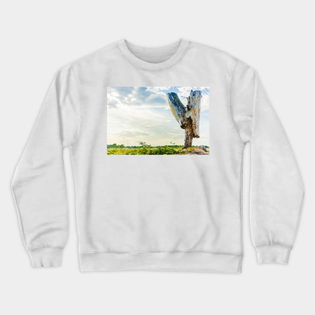 Stumpy Crewneck Sweatshirt by arc1